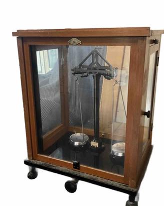 Bilancia nalatica di precisione Galileo/Sartorius