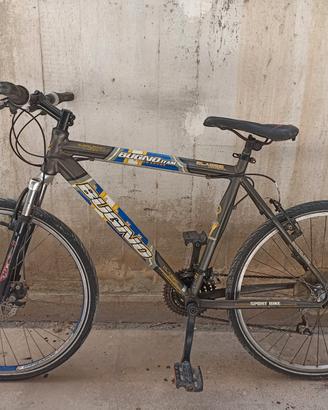 Bicicletta Mountain bike 26 