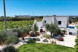 Casa Vacanza Il Vigneto *Grillo