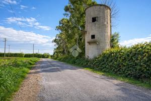 RUSTICO A MONTALTO DI CASTRO
