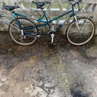 Tandem Unico