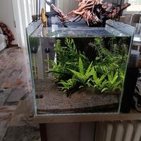 acquario 30 lt componenti separati.