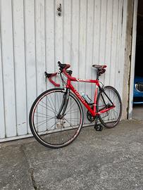 Wilier lavaredo competition