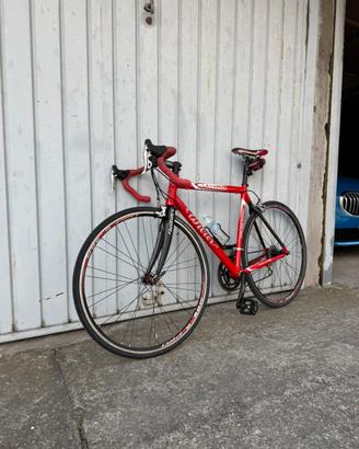 Wilier lavaredo competition