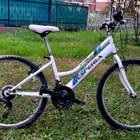 Bicicletta mountain bike 