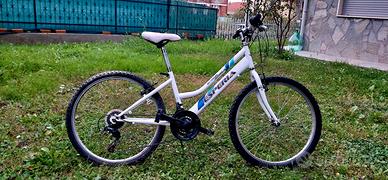 Bicicletta mountain bike 