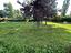 Immagine 9
