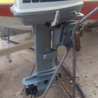 Evinrude 25 gambo lungo