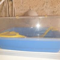 acquario per tartaruga