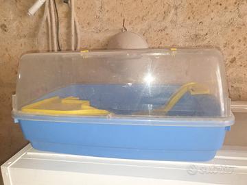 acquario per tartaruga