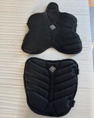 Coprisella Tucano urbano universali