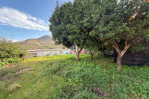 RUSTICO A BARANO D'ISCHIA