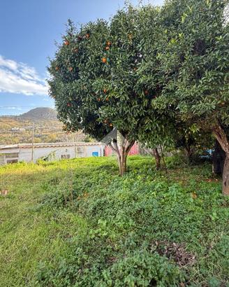 RUSTICO A BARANO D'ISCHIA