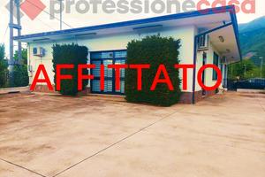 Negozio Castrocielo [Cod. rif 3150262ACG]
