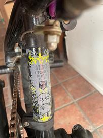BMX bicicletta