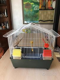 Gabbia x uccellini piu accessori