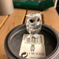 Swarovski Civetta codice 206138