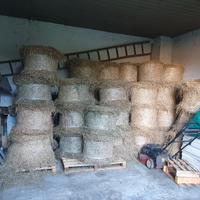 Fieno in ballette 25kg a 7 a balla