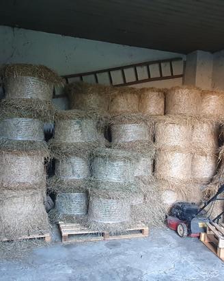 Fieno in ballette 25kg a 7 a balla