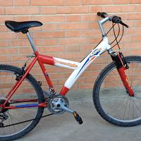 bici mtb
