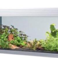 Acquario askoll pure xl bianco