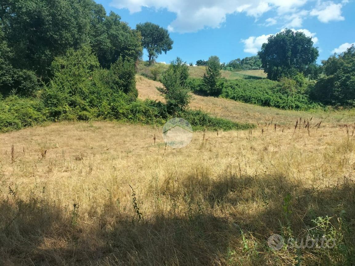 TER. AGRICOLO A TARANO - Vista 4