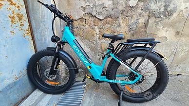 ENGWE E26 Fat Bike bicicletta elettrica