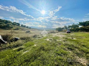 TER. AGRICOLO A MOSCUFO