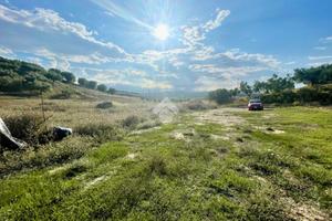 TER. AGRICOLO A MOSCUFO
