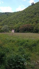 Terreno agricolo con casaletto Morro Reatino