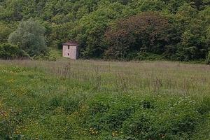 Terreno agricolo con casaletto Morro Reatino