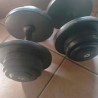 2 manubri gommati da 40 kg 20+20