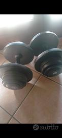2 manubri gommati da 40 kg 20+20