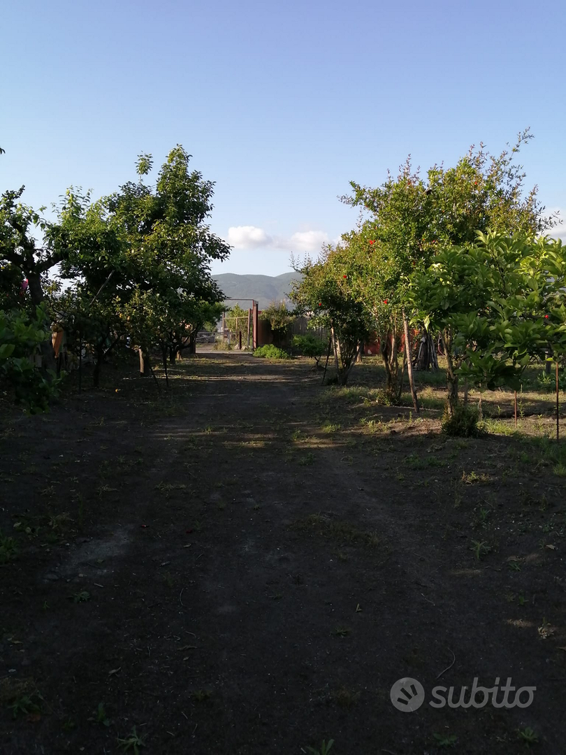 Terreno agricolo - Vista 5