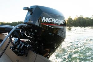 Mercury F15 F20 PROMO Get MORE