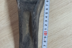 Jcb. Denti per benna terna Jcb