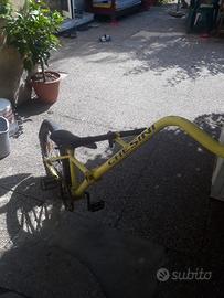 Cammellino, bici traino per bambini