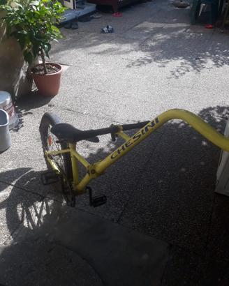 Cammellino, bici traino per bambini