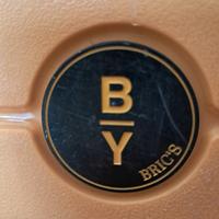 Vedesi Valigia brics