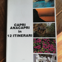 Libro guida turistica