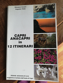 Libro guida turistica