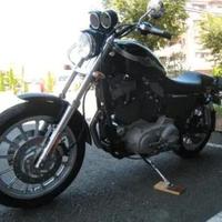 Harley-Davidson Sportster XL1200S 100° Anniversary