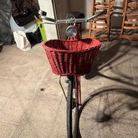 Bici stile Olandesina