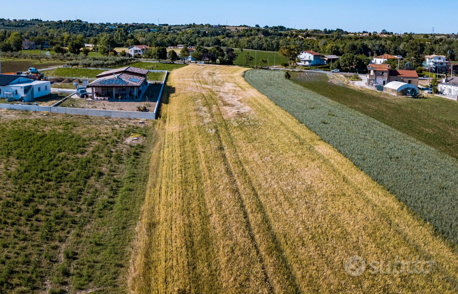 Terreno edificabile Villareia di Cepagatti - Altro
