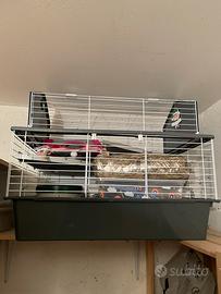 Gabbia per coniglietto piu travel bag