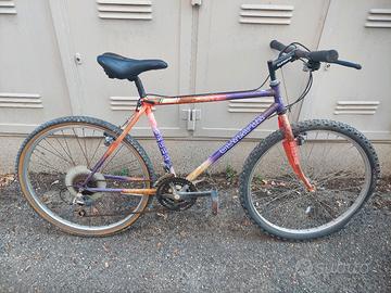 Bicicletta da stazione 