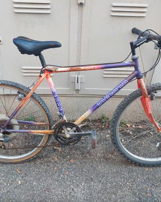 Bicicletta da stazione 