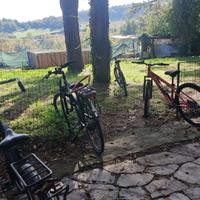 BICI SCOTT