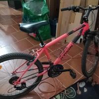 Bicicletta Mountain Bike