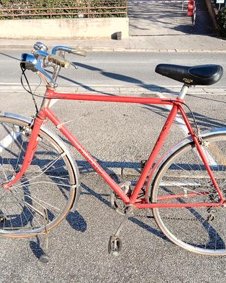 bici da passeggio 
